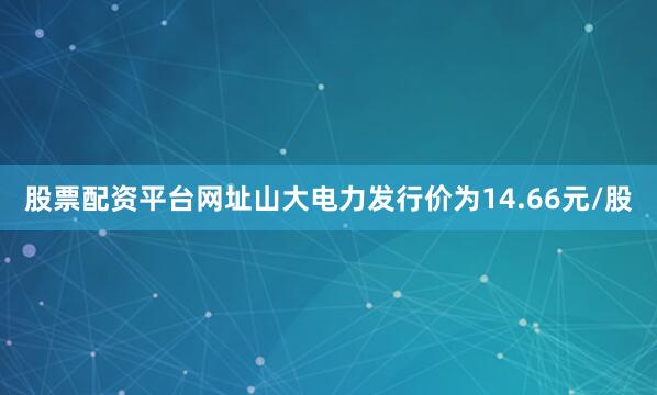 股票配资平台网址山大电力发行价为14.66元/股
