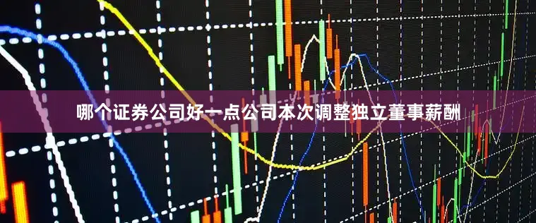 哪个证券公司好一点公司本次调整独立董事薪酬