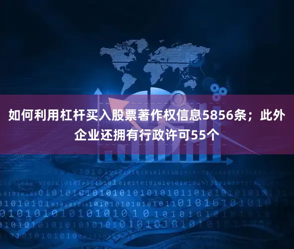 如何利用杠杆买入股票著作权信息5856条；此外企业还拥有行政许可55个